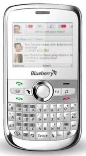 SL Blueberry 5800-9